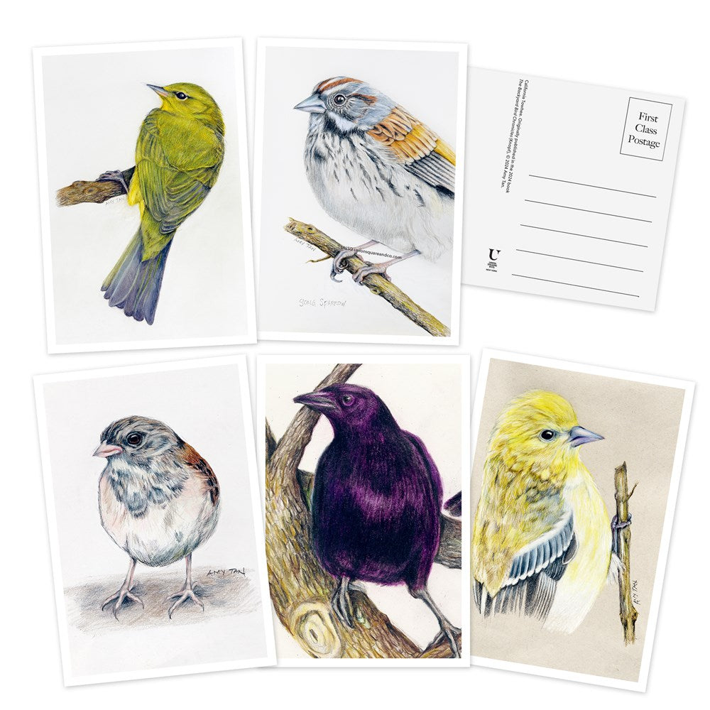 The Backyard Bird Chronicles - 50 Postcards