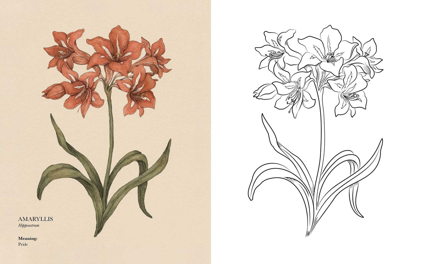 Floriography Coloring Book