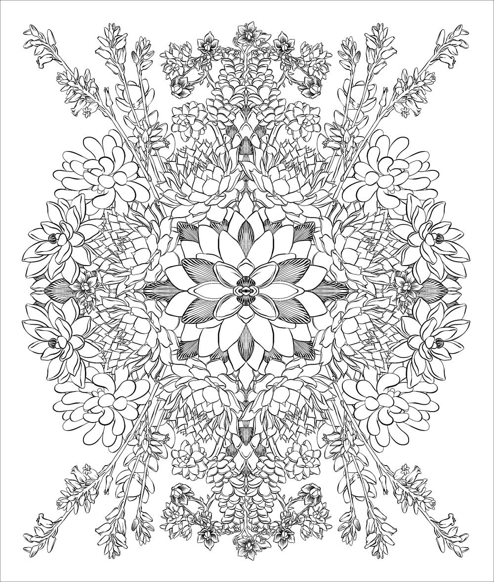 Sensational Succulents Coloring Book