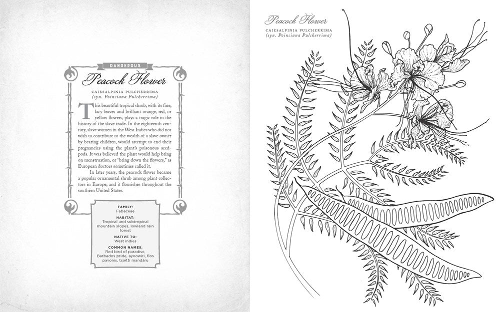 The Wicked Plants Coloring Book