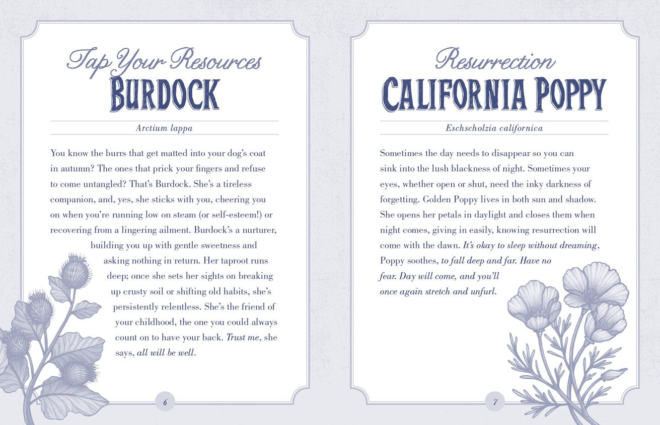 Illustrated Herbiary Oracle Cards