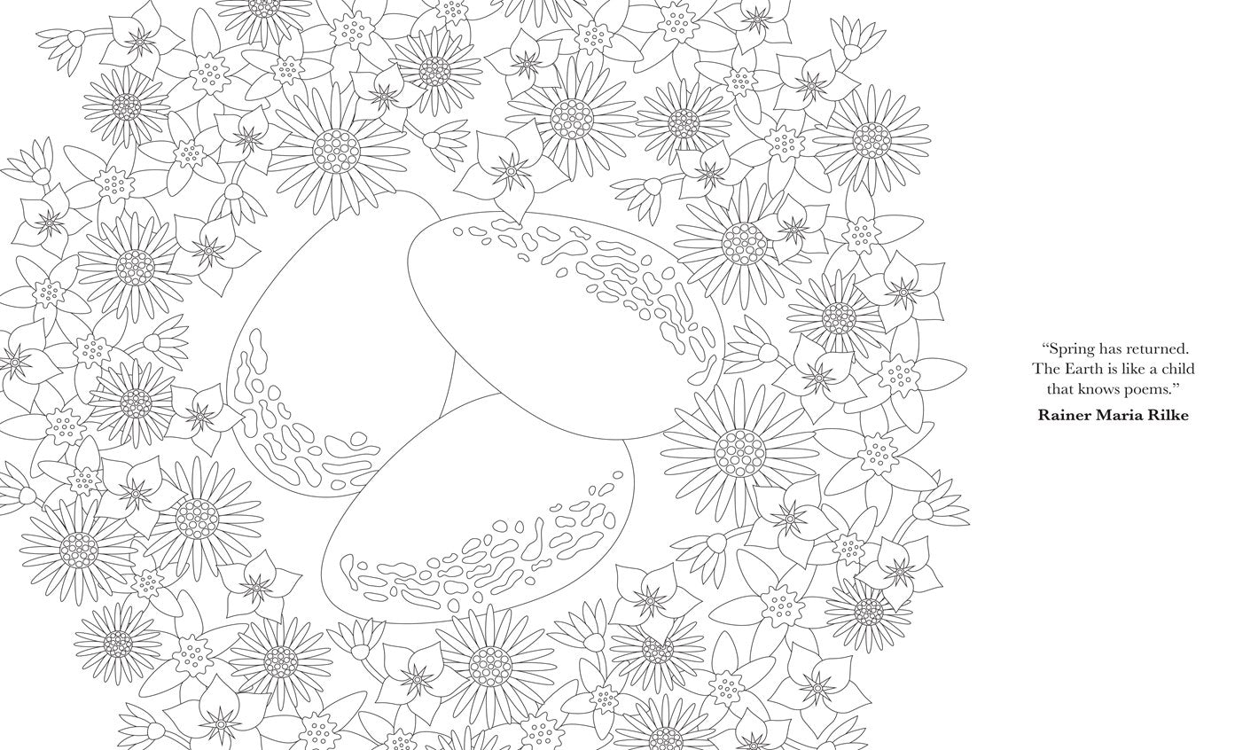 The Mindful Year Coloring Book:  45 Designs and Quotes to Color Yourself Calm Through the Seasons