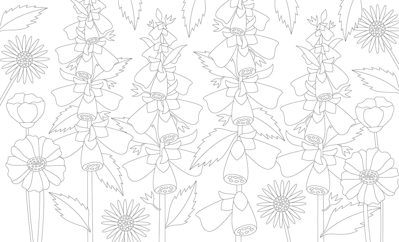 The Mindful Year Coloring Book:  45 Designs and Quotes to Color Yourself Calm Through the Seasons