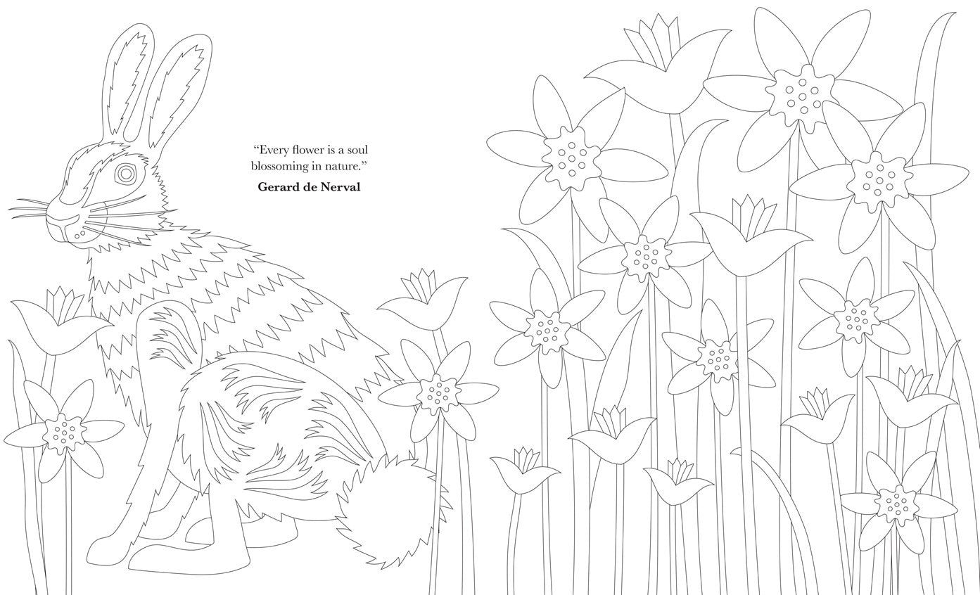 The Mindful Year Coloring Book:  45 Designs and Quotes to Color Yourself Calm Through the Seasons