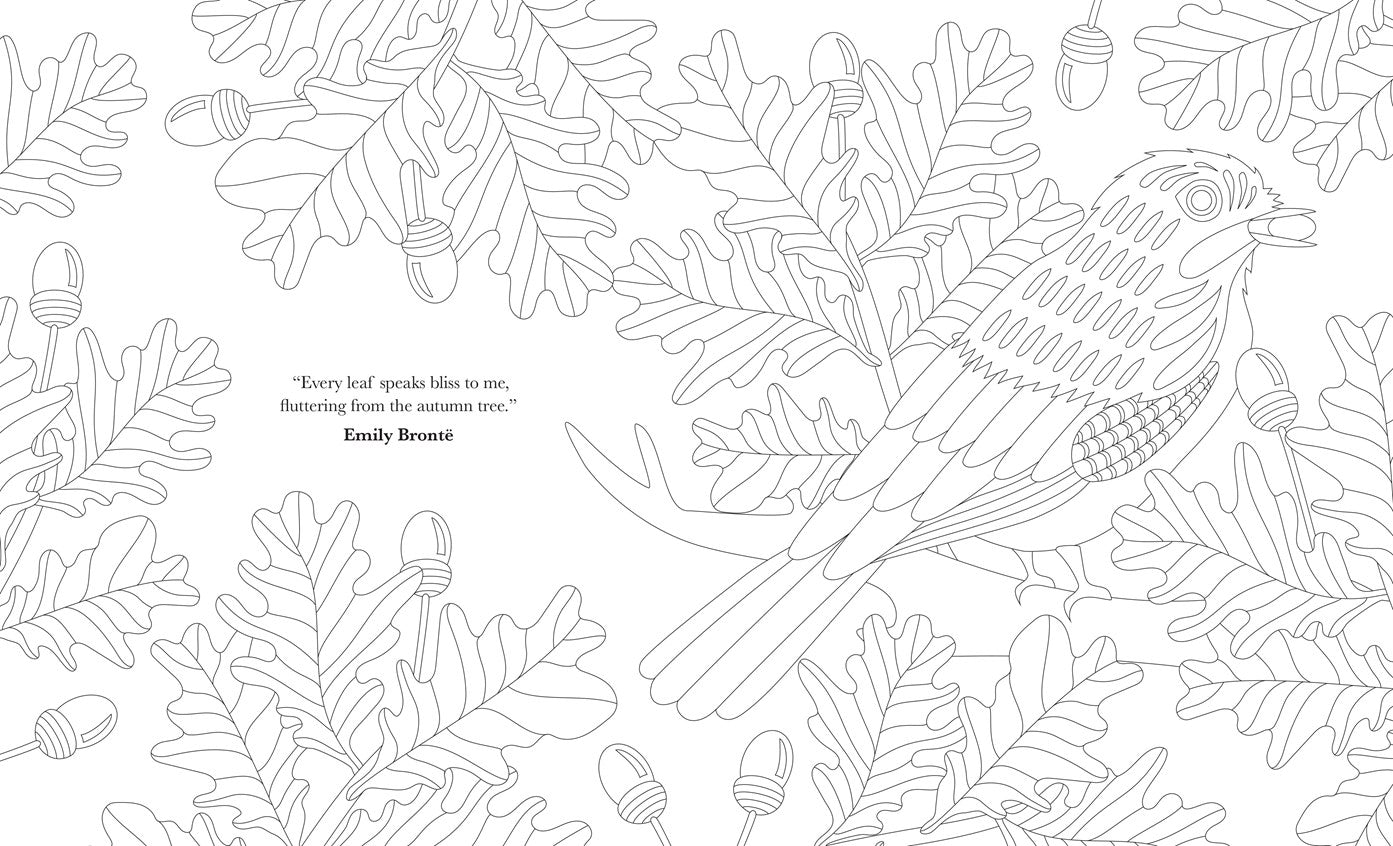 The Mindful Year Coloring Book:  45 Designs and Quotes to Color Yourself Calm Through the Seasons