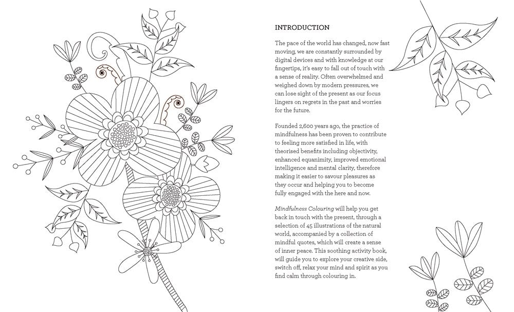 Coloring Book Of Mindfulness