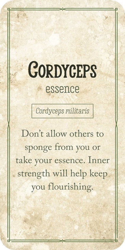 Mushroom Affirmations