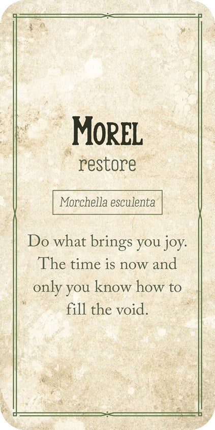 Mushroom Affirmations