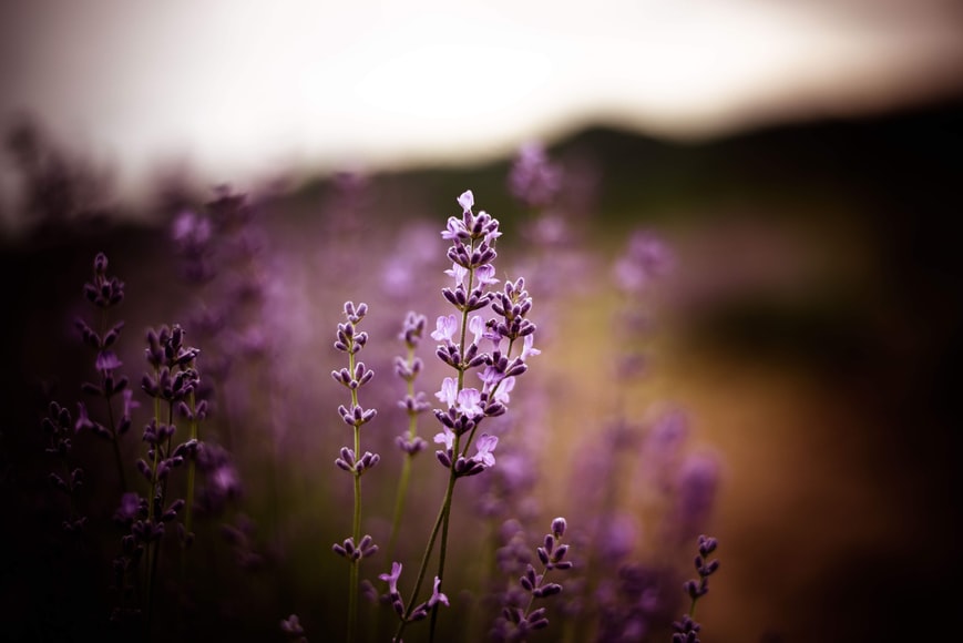 Migraine, Anxiety, Loss of Smell Aromatherapy Smelling Salts