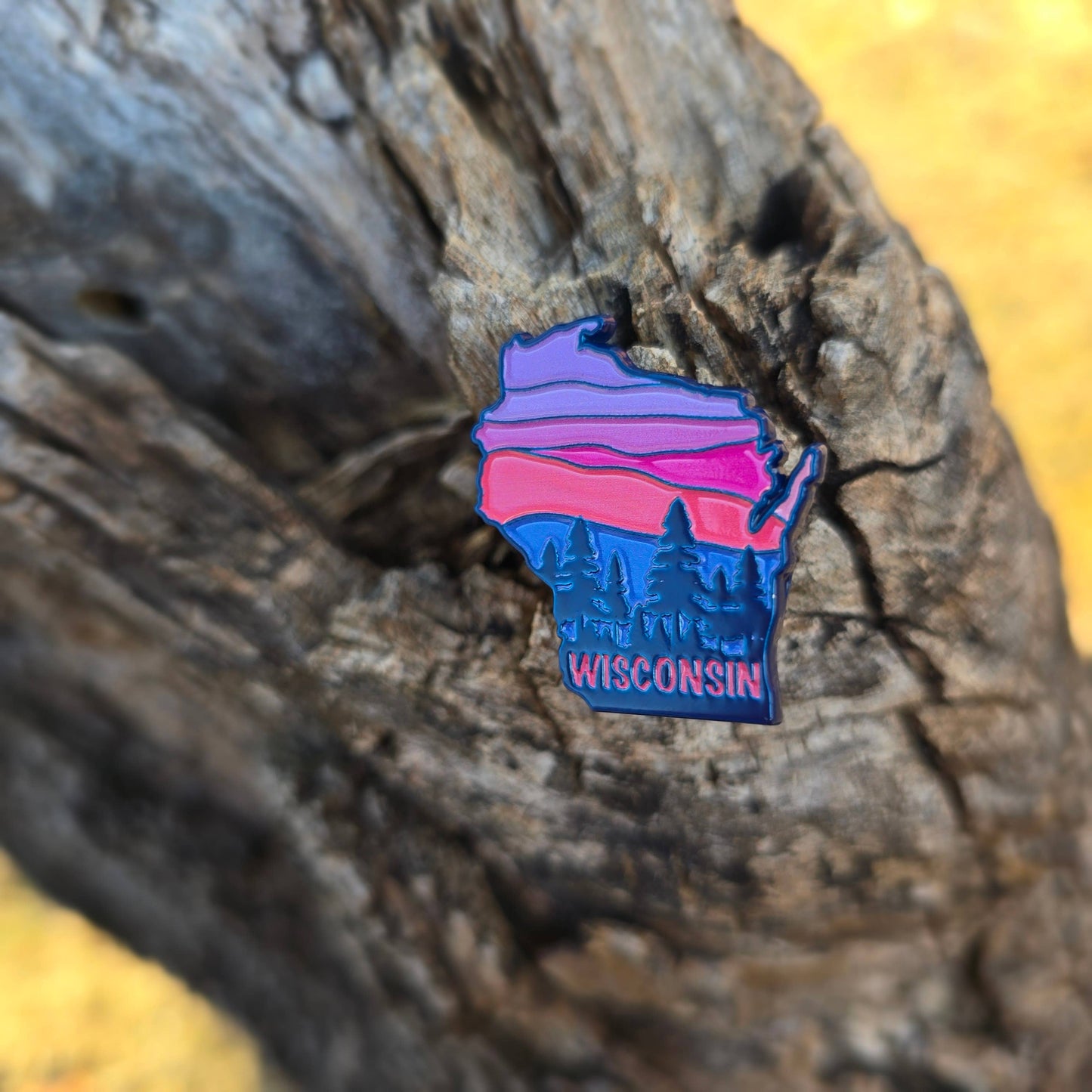 Wisconsin state enamel pin