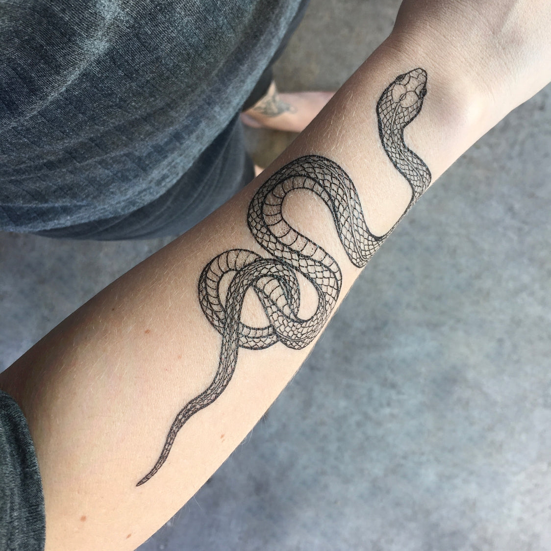 Garden Snake Temporary Tattoo 2-Pack