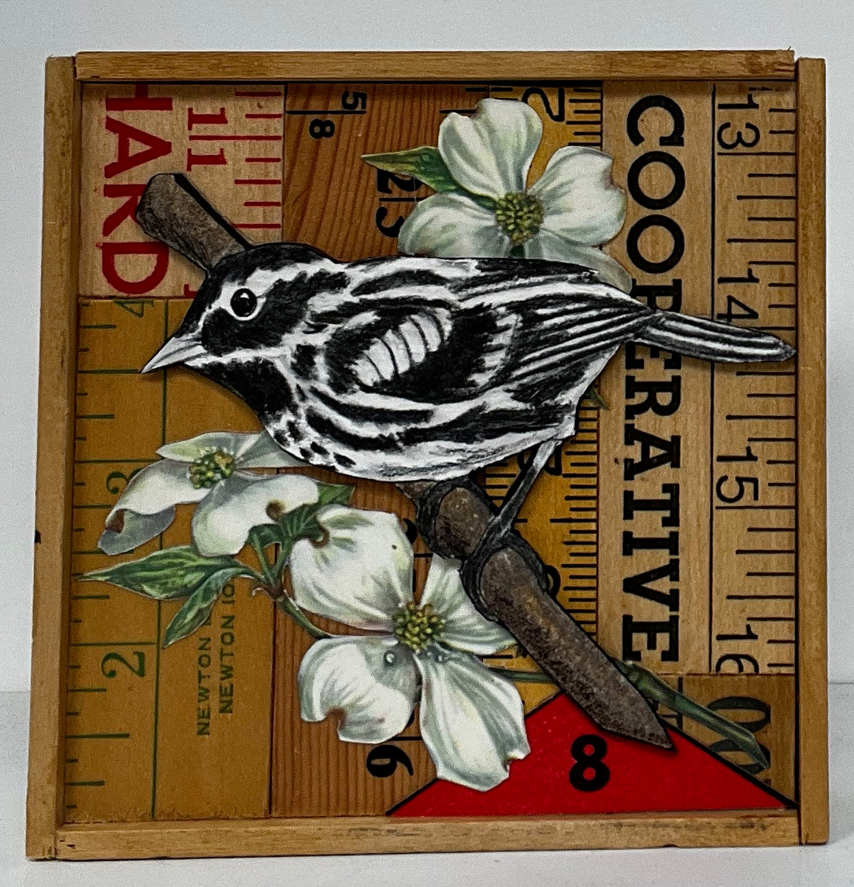 Black and White Warbler 4" x 4"