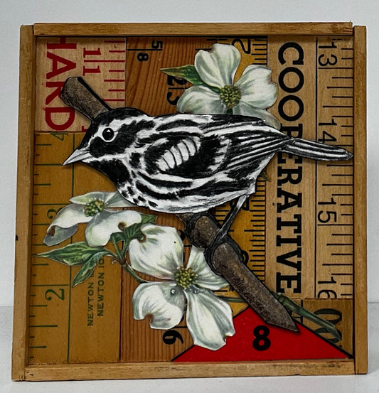 Black and White Warbler 4" x 4"