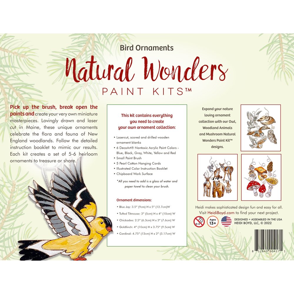 Natural Wonders Paint Kit - Bird Ornaments