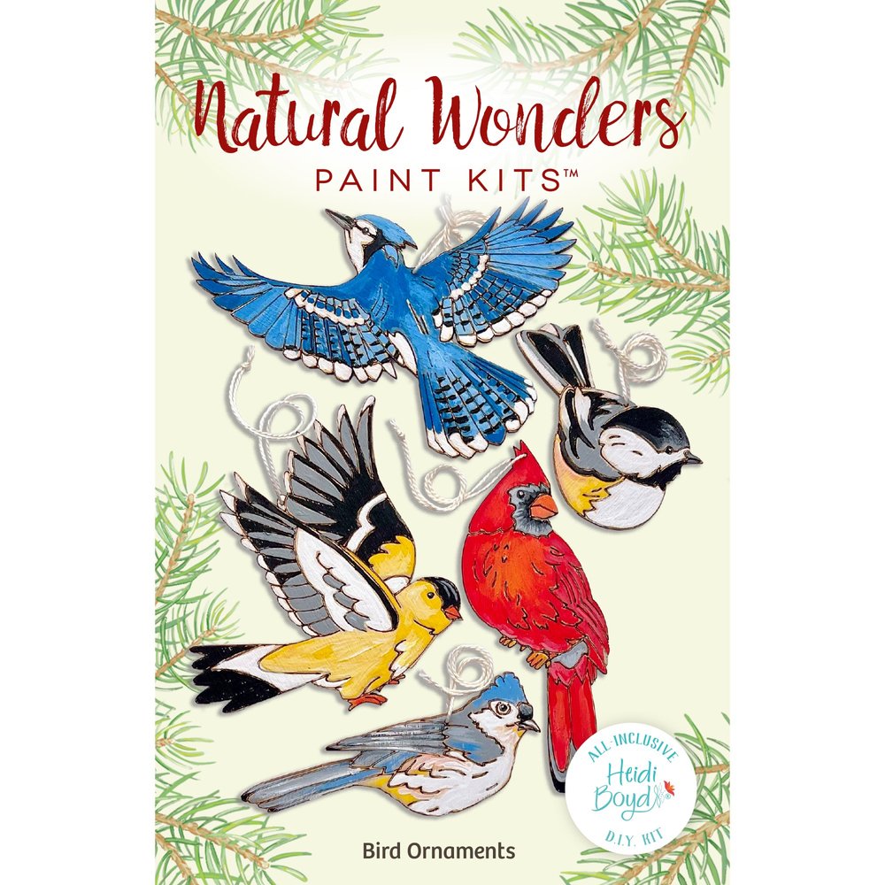 Natural Wonders Paint Kit - Bird Ornaments