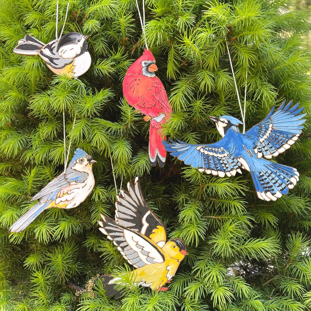 Natural Wonders Paint Kit - Bird Ornaments