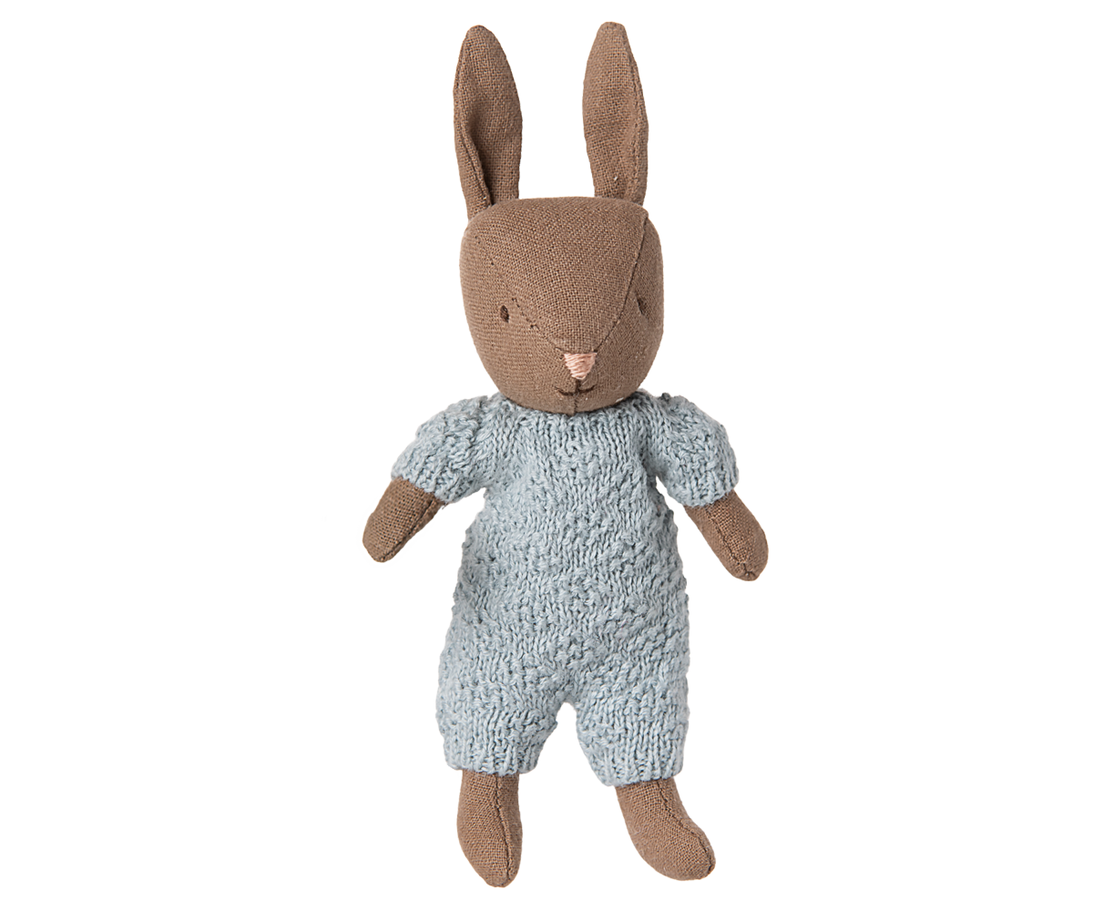Rabbit Micro Brown Blue Knitted Suit