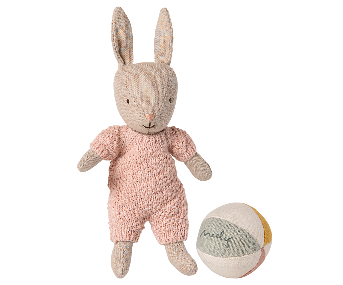Rabbit Set Micro Sand Rose