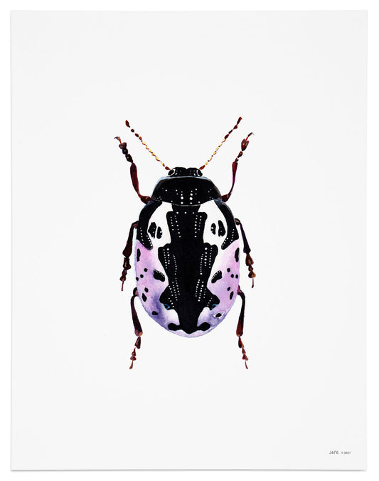 Calligrapha Beetle Art Print