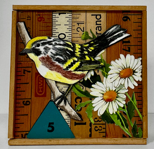 Chesnut Sided Warbler 4" x 4"