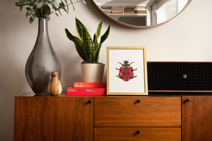 Ladybug Art Print