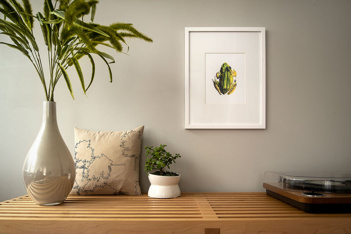 Frog Art Print