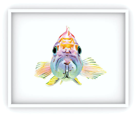 Fish Art Print