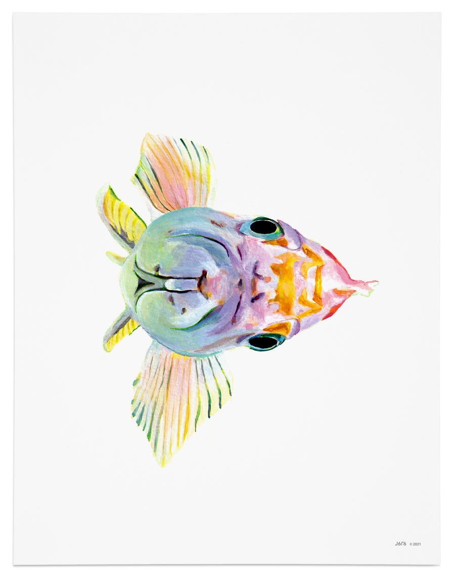 Fish Art Print