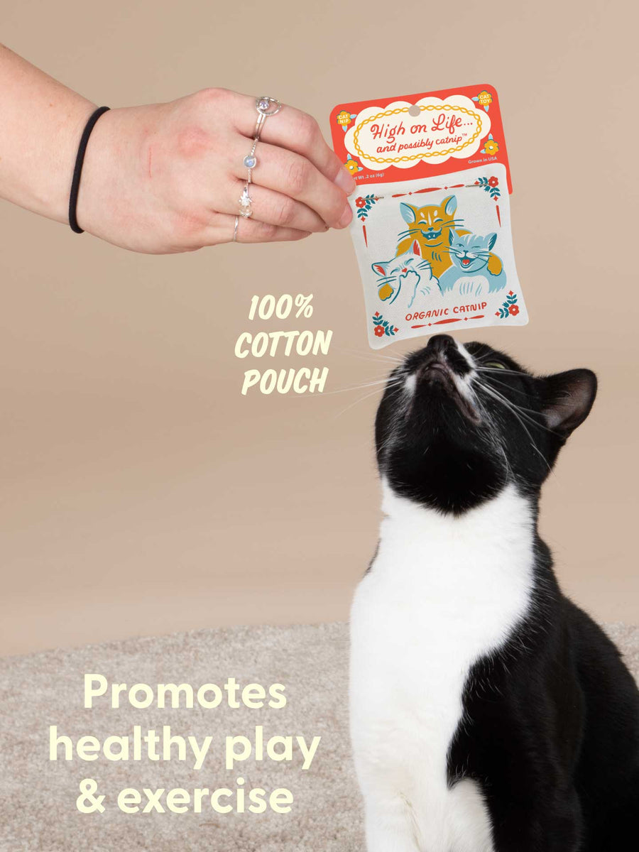 High On Life Catnip Toy