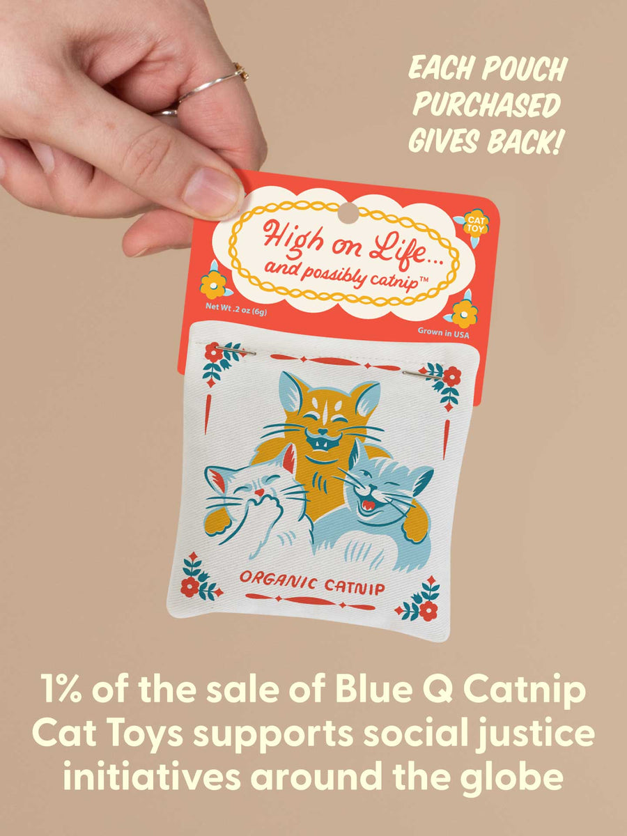 High On Life Catnip Toy