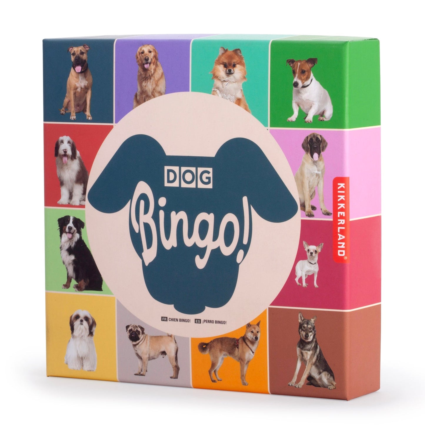 Dog Bingo