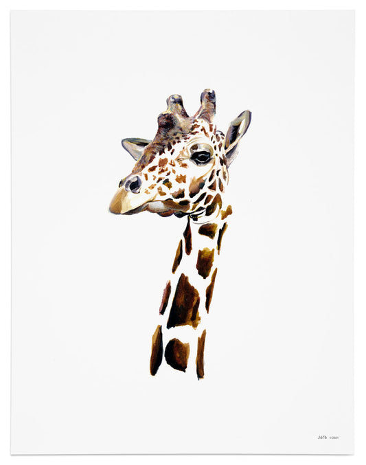 Giraffe Art Print