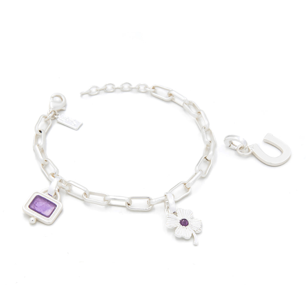 Interchangeable Charm Bracelet