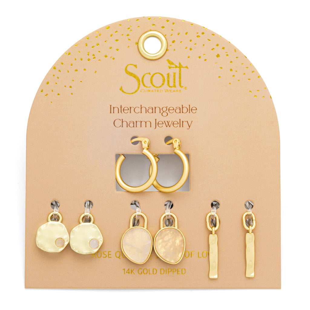 Interchangeable Charm Earring