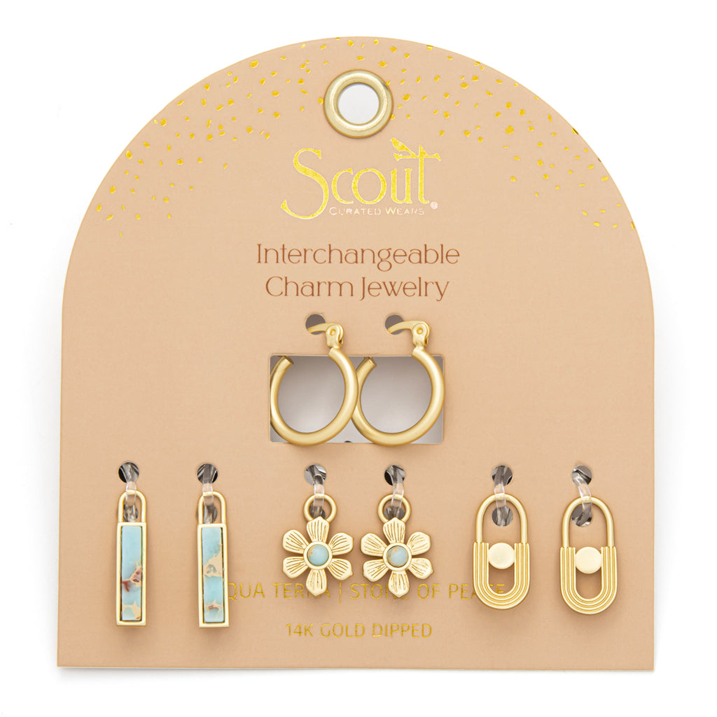 Interchangeable Charm Earring