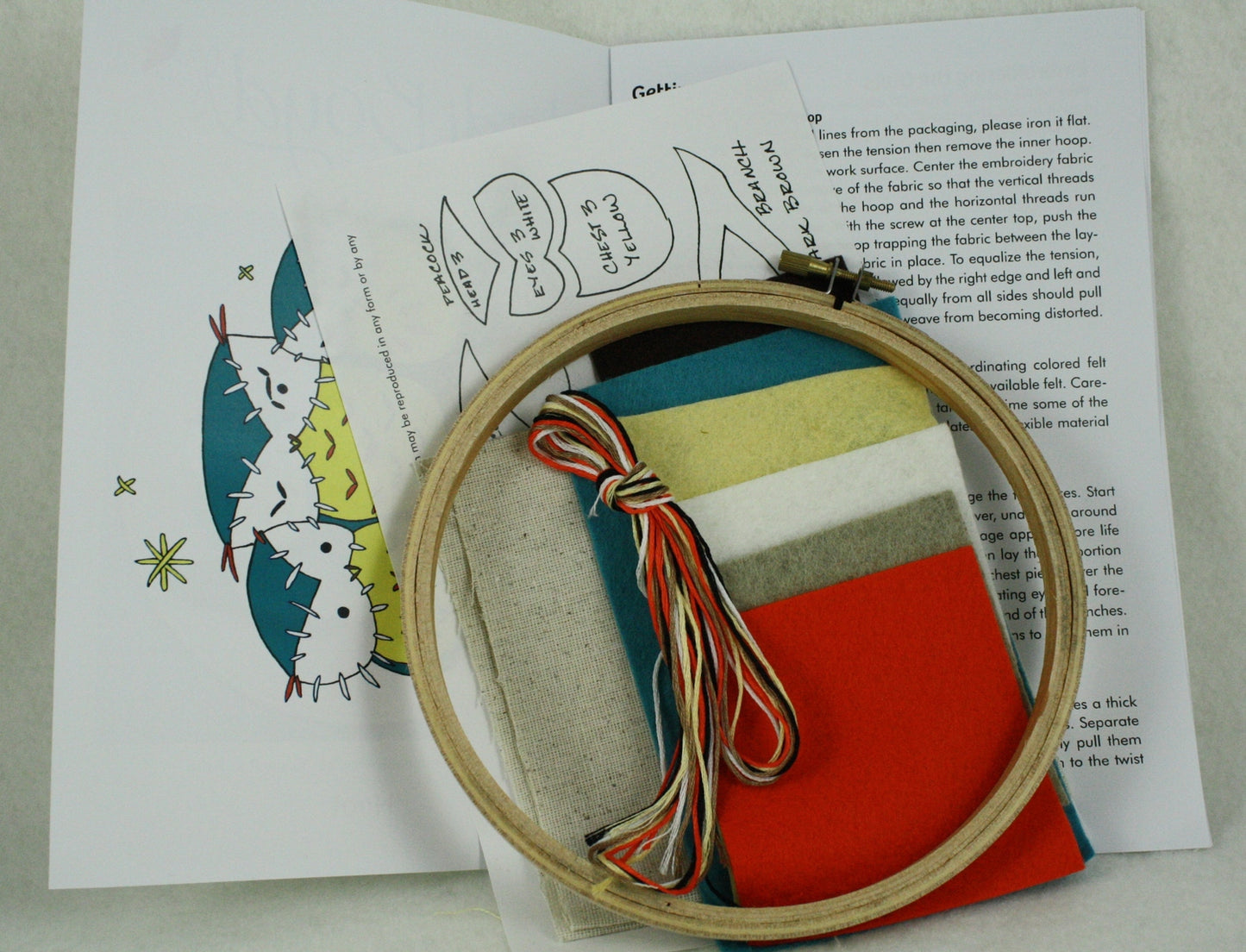 Whimsy Stitches Hoop Kit - Hoot