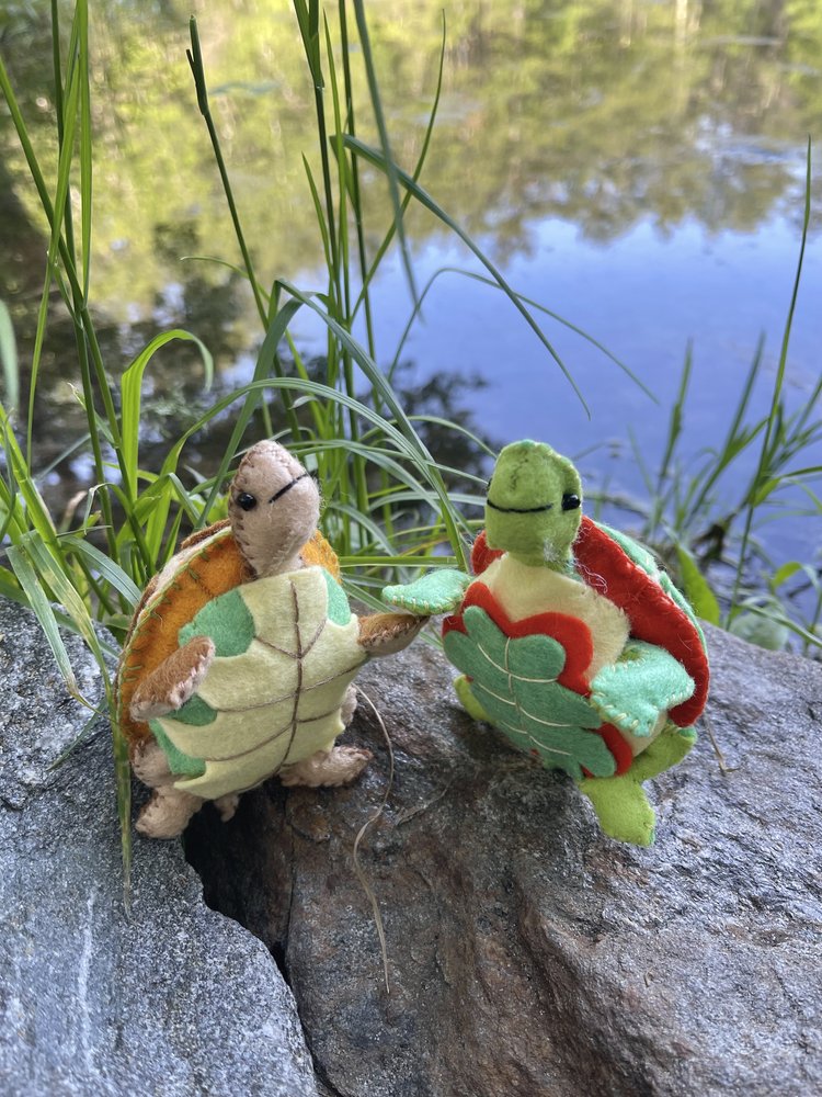 Whimsy Kit - Painted and Wood Turtles