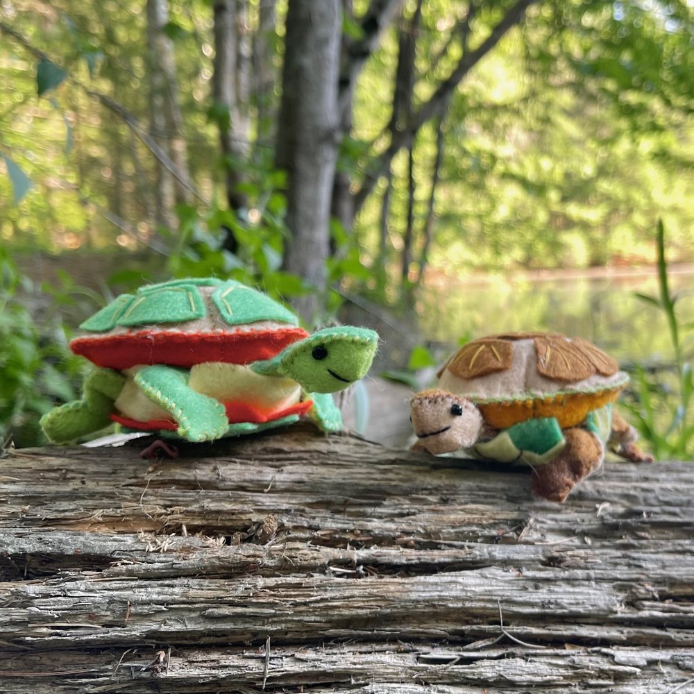 Whimsy Kit - Painted and Wood Turtles