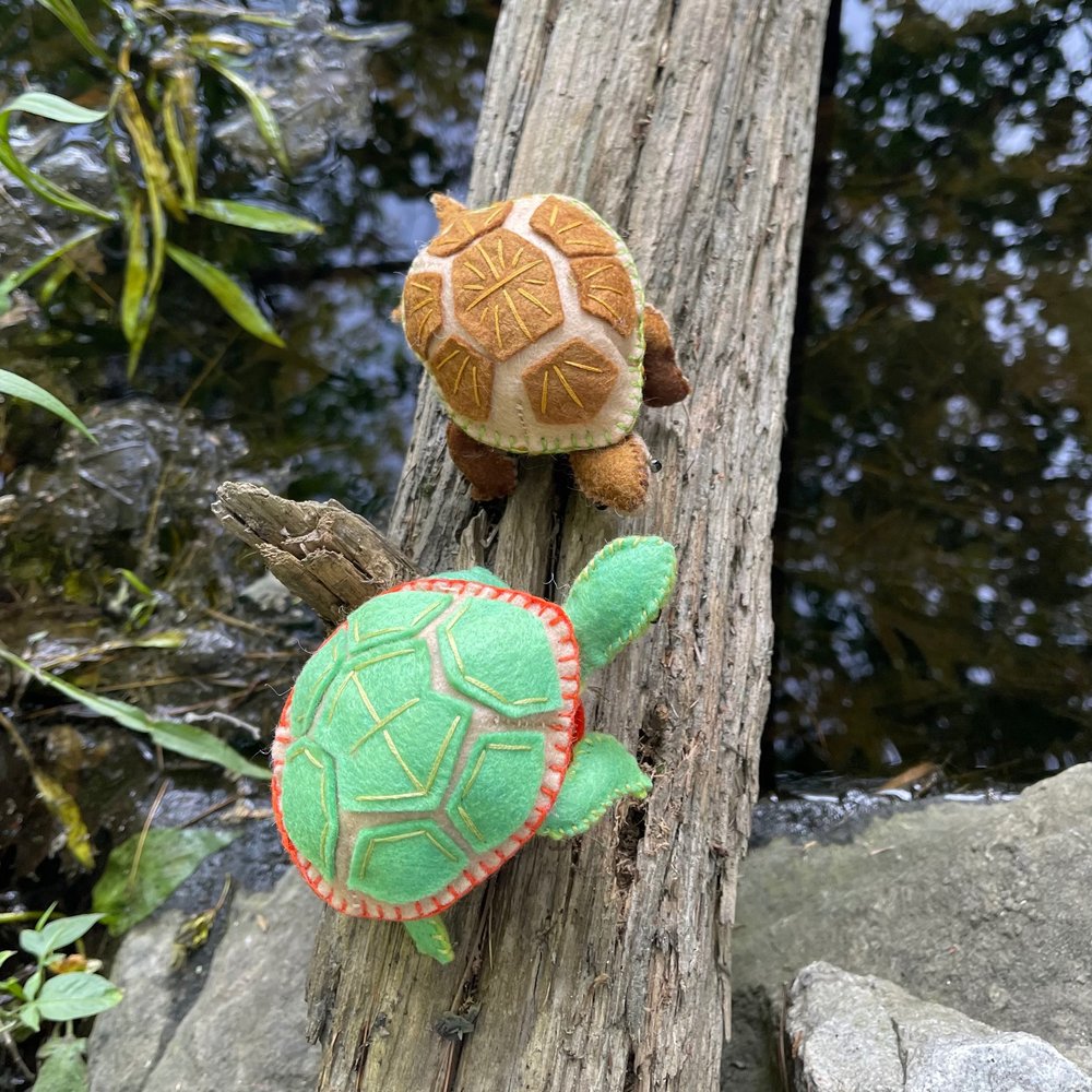 Whimsy Kit - Painted and Wood Turtles