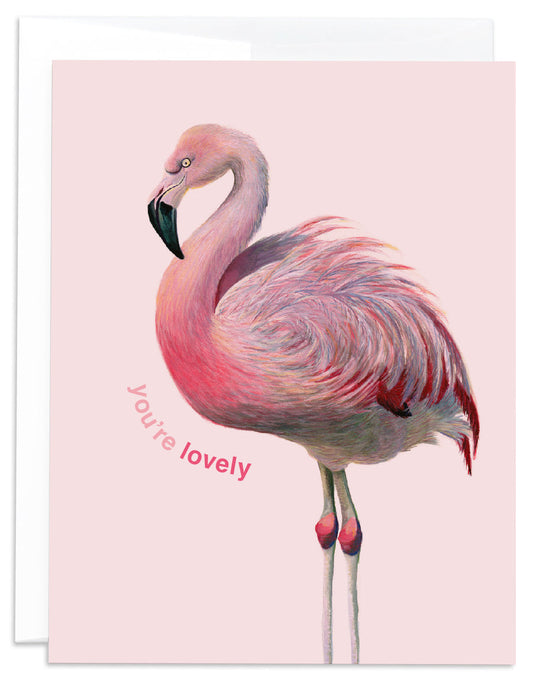 Flamingo You're Lovely Card