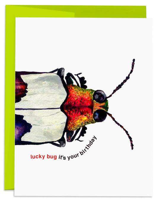 Jewel Beetle Birthday Card