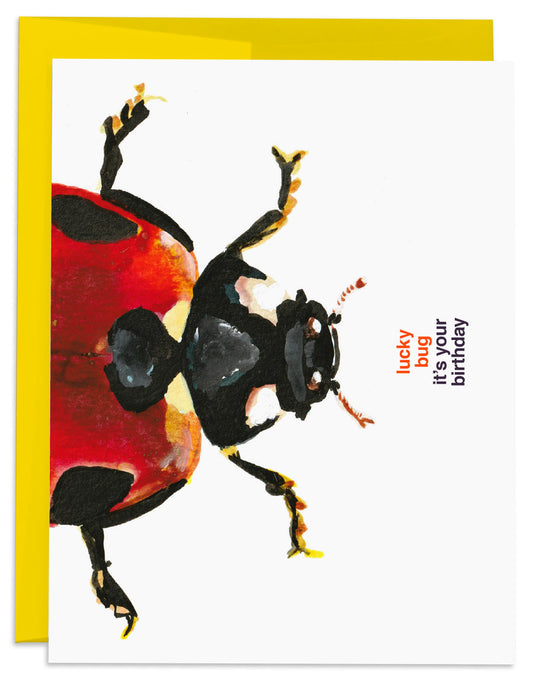 Ladybug Birthday Card