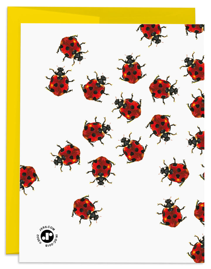 Ladybug Hooray Card