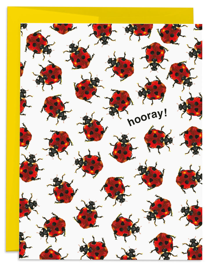 Ladybug Hooray Card