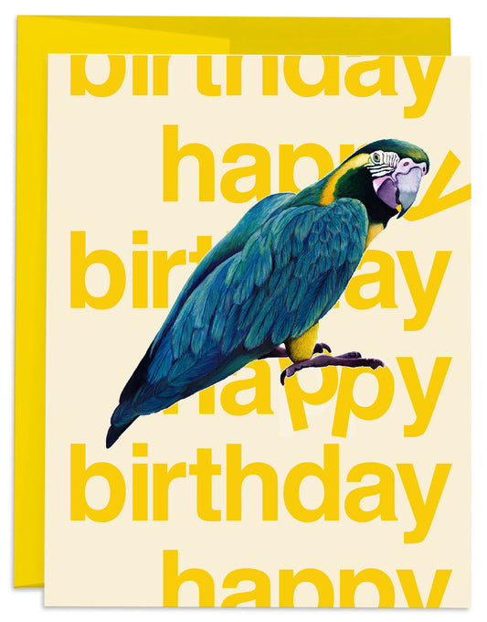 Macaw Happy Birthday Card