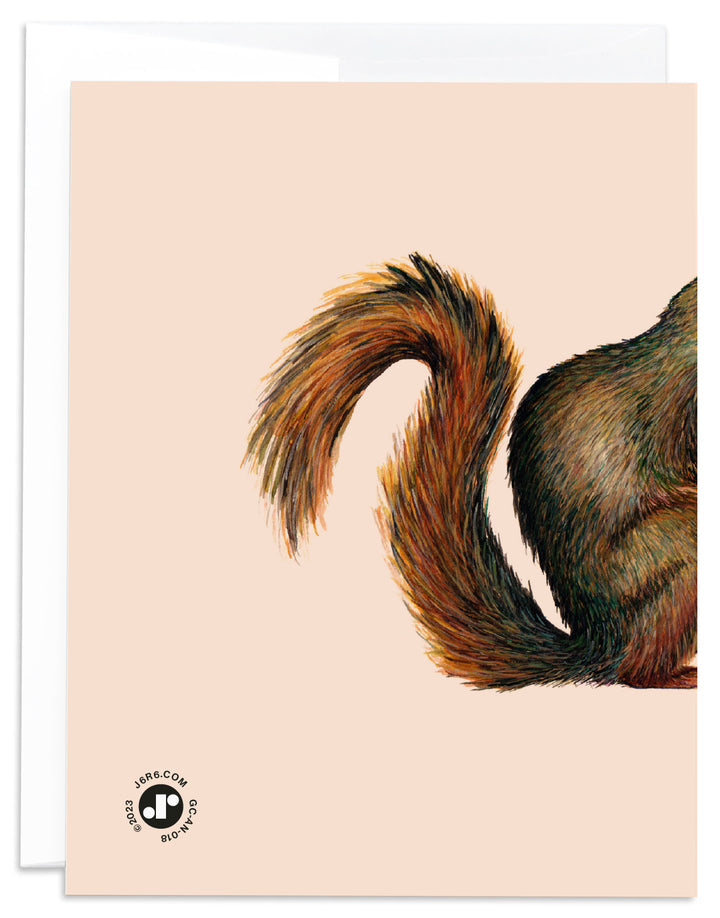 Squirrel Thank You Card