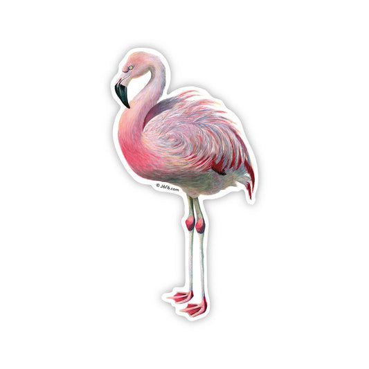 Flamingo Sticker By J6R6