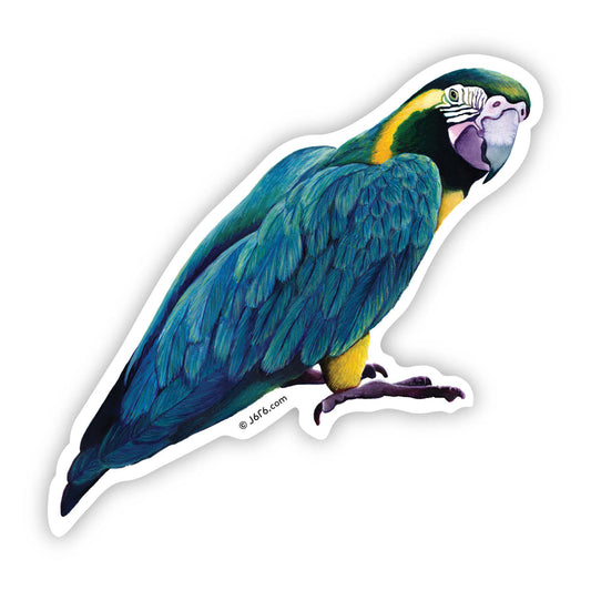 Macaw Sticker By J6R6