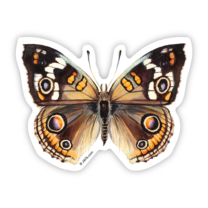 Buckeye Butterfly Sticker By J6R6