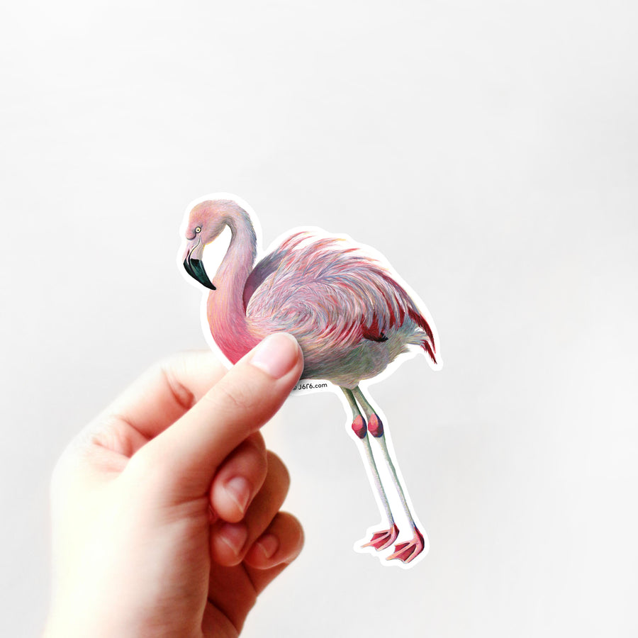 Flamingo Sticker By J6R6